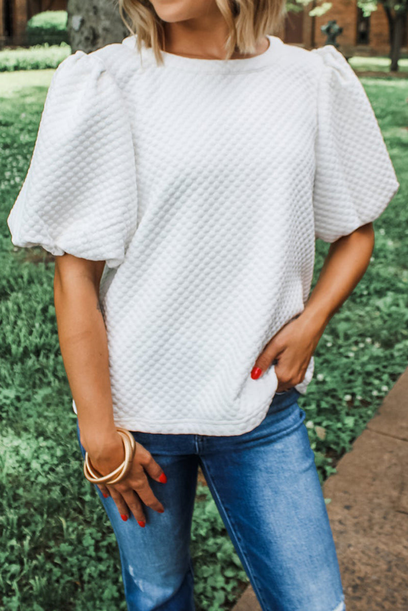 Solid Textured O Neck Puff Sleeve Blouse