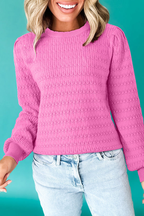 Trendy Pattern Knit Ribbed Cuffs Crew Neck Sweater