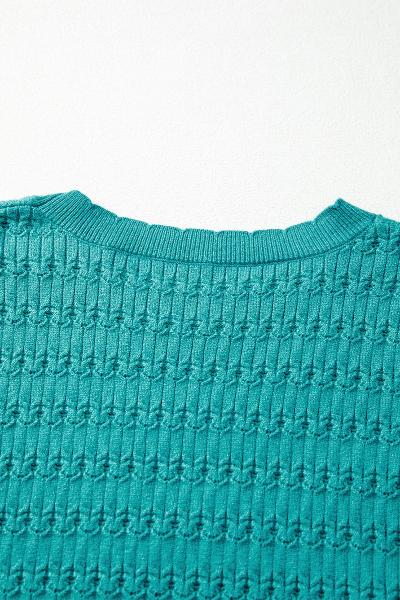 Trendy Pattern Knit Ribbed Cuffs Crew Neck Sweater