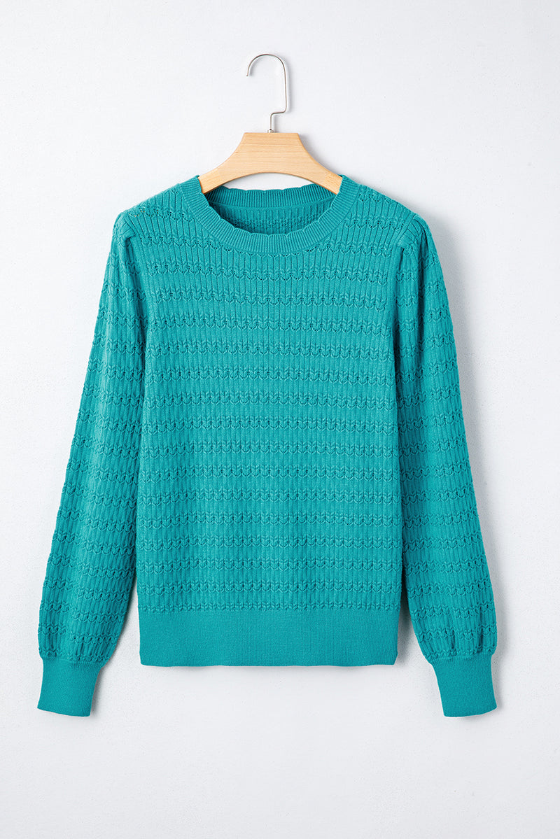 Trendy Pattern Knit Ribbed Cuffs Crew Neck Sweater