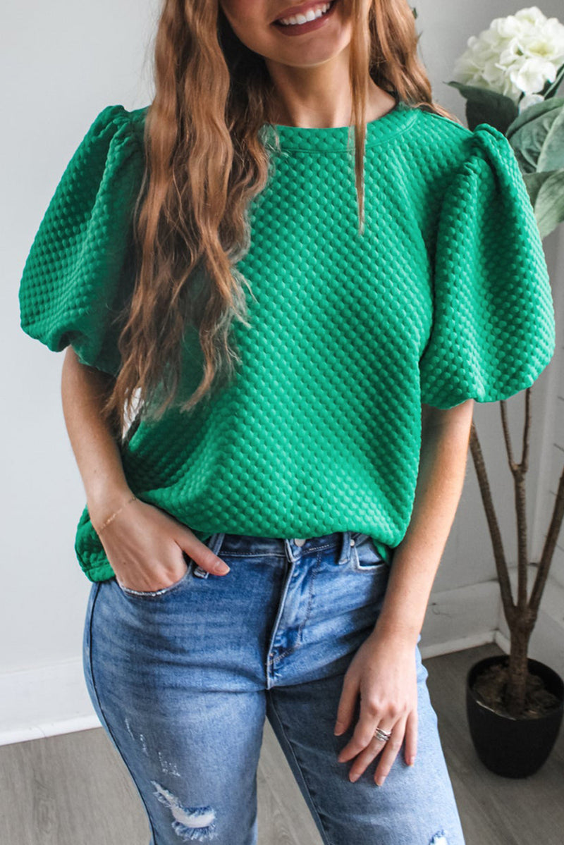 Solid Textured O Neck Puff Sleeve Blouse
