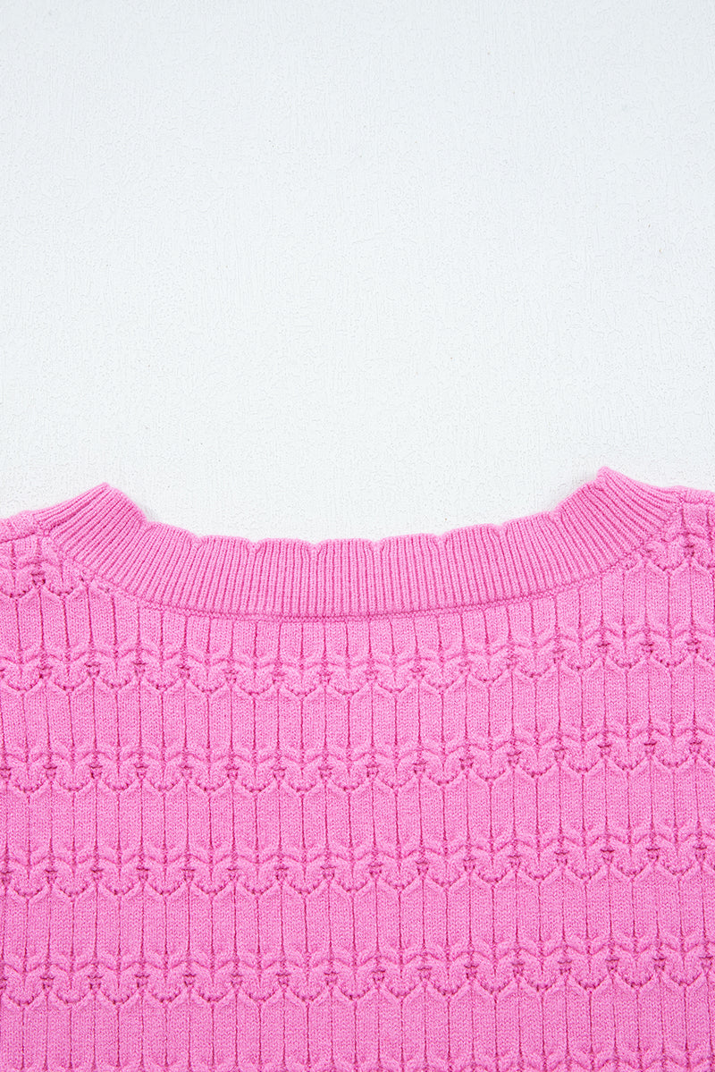 Trendy Pattern Knit Ribbed Cuffs Crew Neck Sweater
