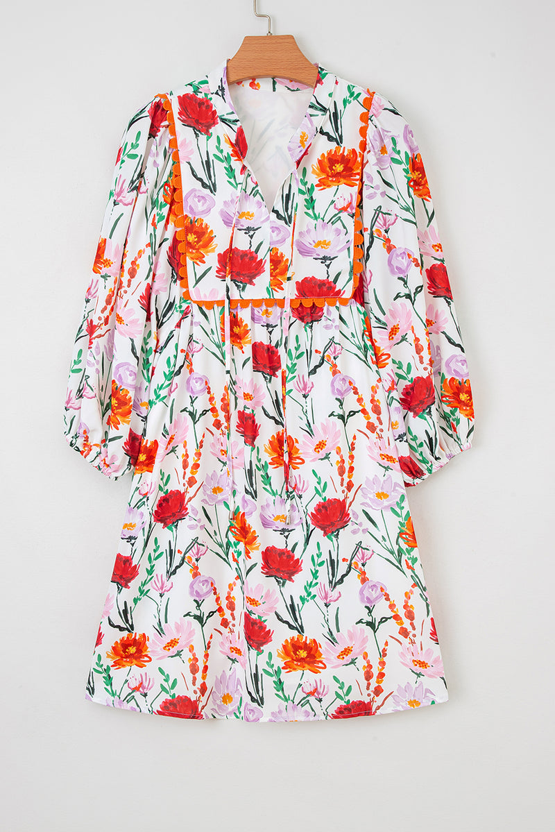 Multicolour Floral Print 3/4 Puff Sleeve Ricrac Trim Mini Dress