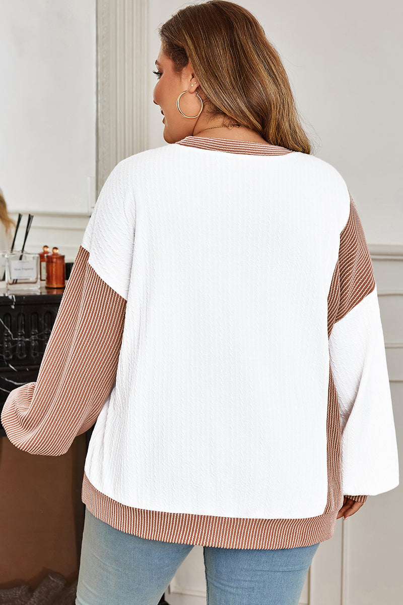 Cable Texture Ribbed Color Block Plus Size Knit Top