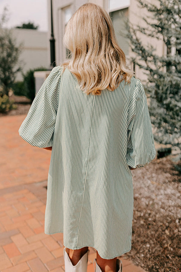 Patch Pockets Button Down Short Puff Sleeve Dress