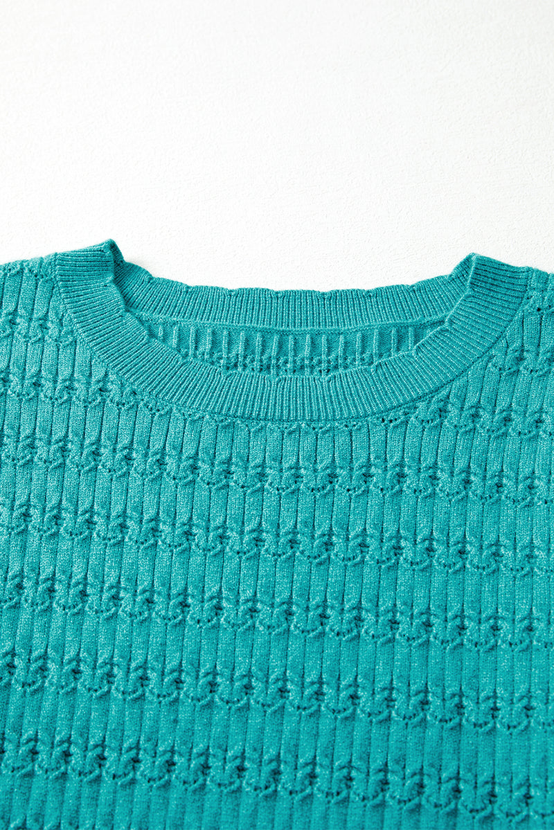 Trendy Pattern Knit Ribbed Cuffs Crew Neck Sweater