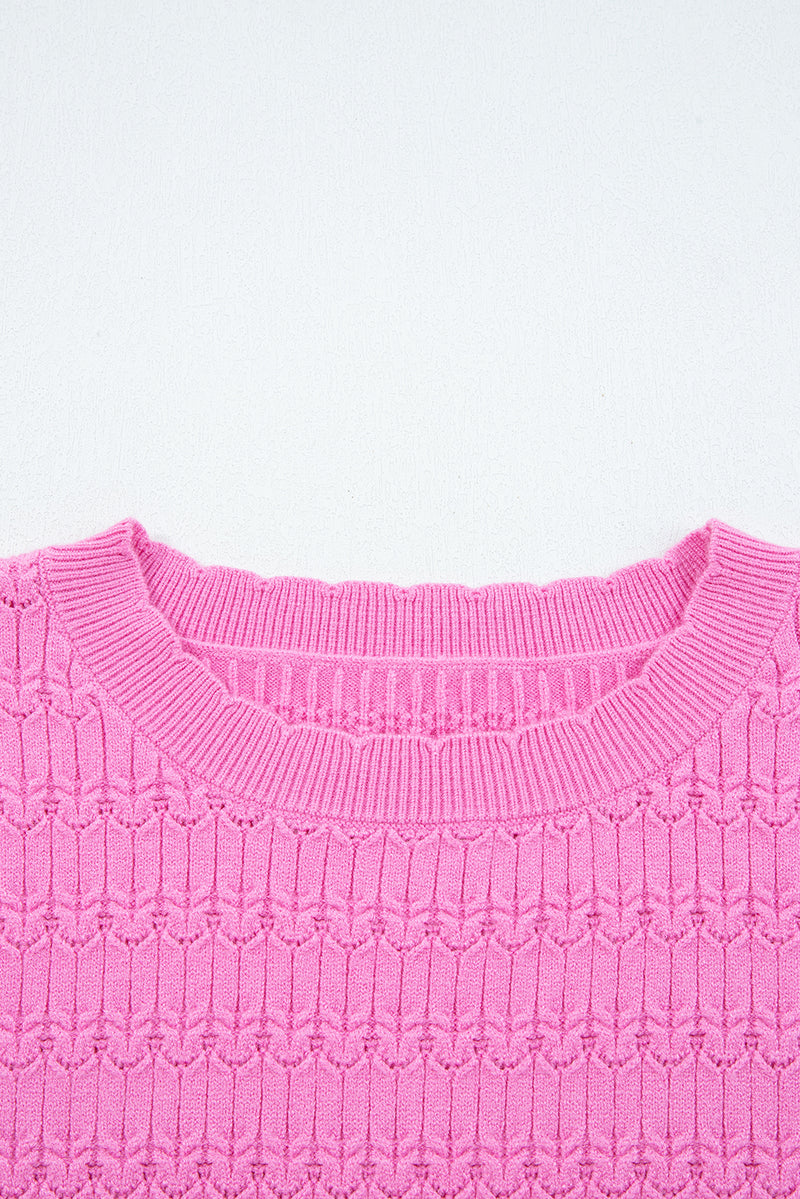 Trendy Pattern Knit Ribbed Cuffs Crew Neck Sweater