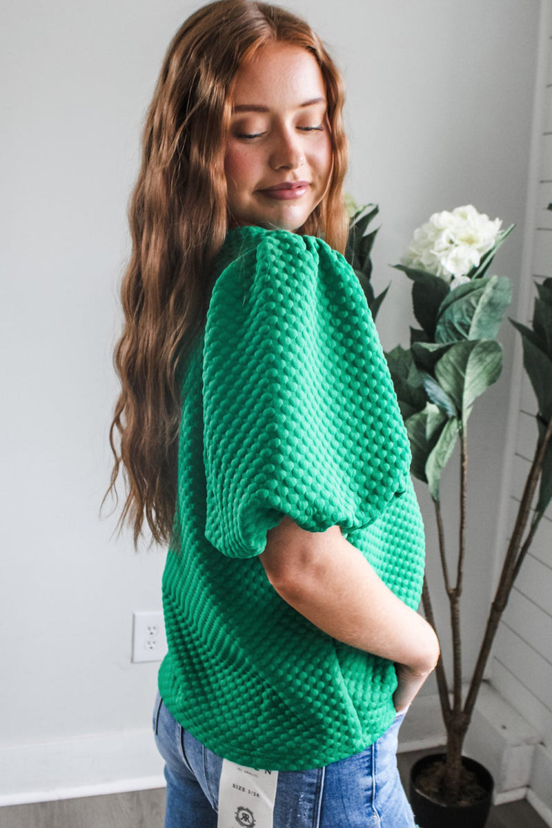 Solid Textured O Neck Puff Sleeve Blouse