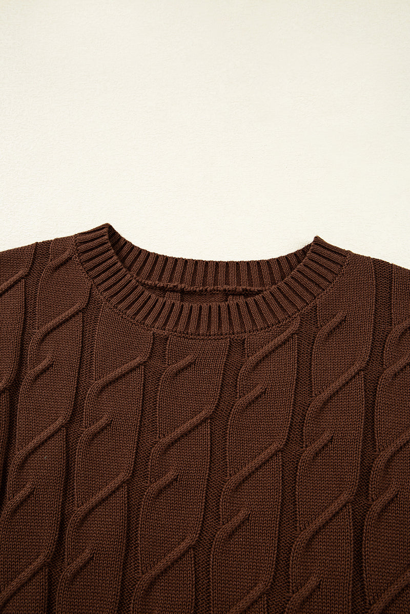 Dark Brown Cable Texture Crew Neck Short Sleeve Sweater Top