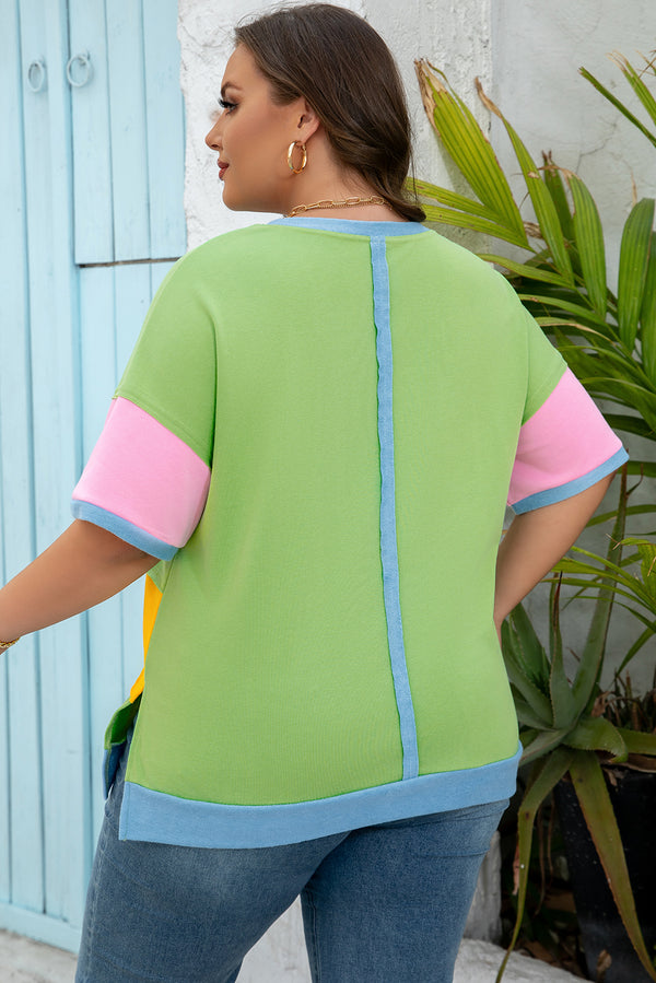 Color Block Exposed Seam Patchwork Plus Size T Shirt