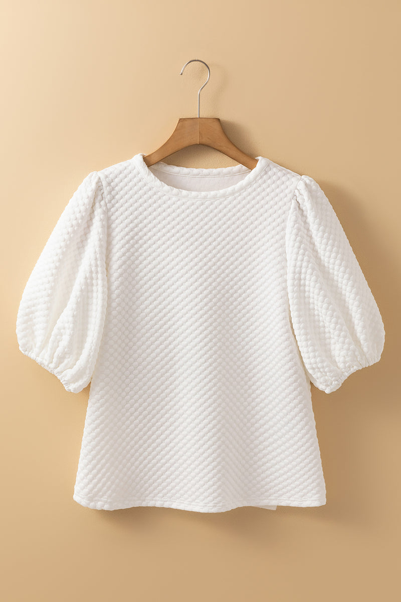 Solid Textured O Neck Puff Sleeve Blouse