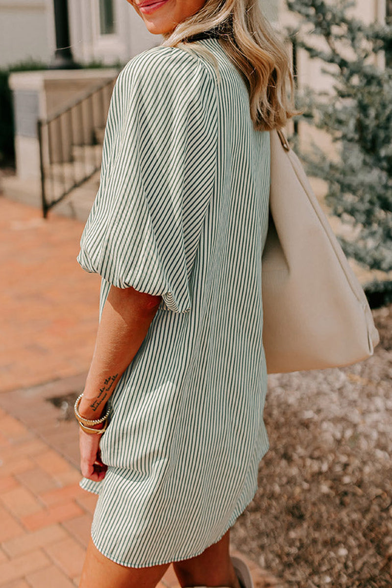 Patch Pockets Button Down Short Puff Sleeve Dress