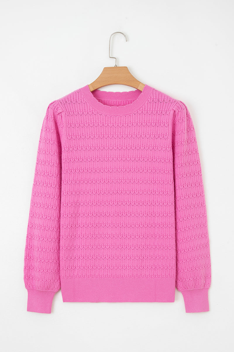 Trendy Pattern Knit Ribbed Cuffs Crew Neck Sweater