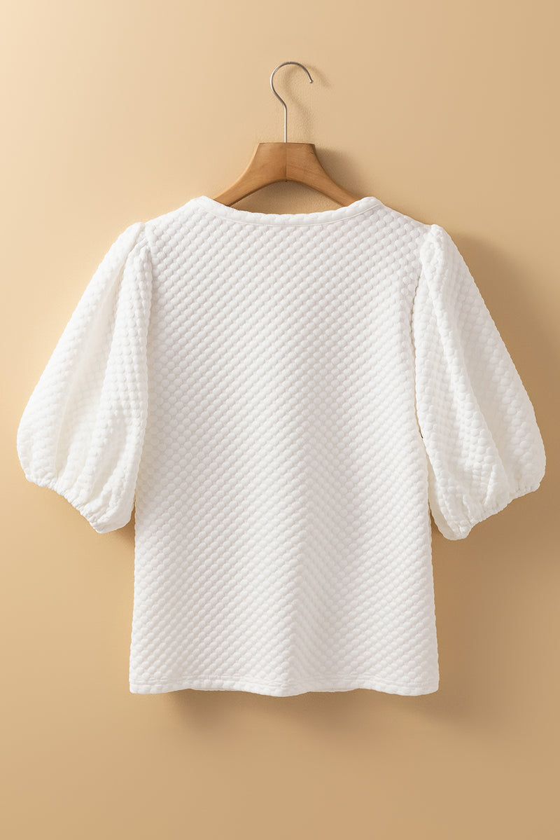 Solid Textured O Neck Puff Sleeve Blouse